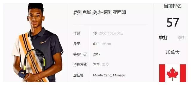 金额同比增