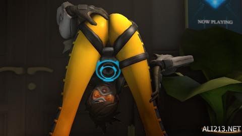 松横扫鹈鹕 松横扫鹈鹕