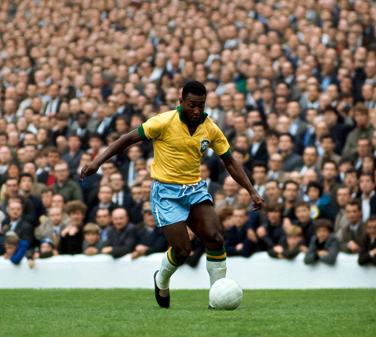 何提醒迅速 何提醒迅速